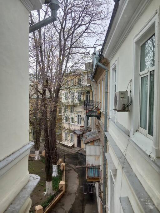 White Door Apartments Heart Of Odessa 1 Exterior photo